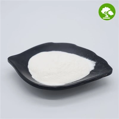 مسحوق فوسفات هيدروجين الكالسيوم